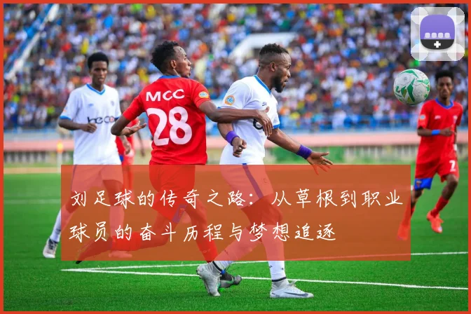 刘足球的传奇之路：从草根到职业球员的奋斗历程与梦想追逐