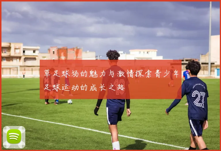 草足球场的魅力与激情探索青少年足球运动的成长之路