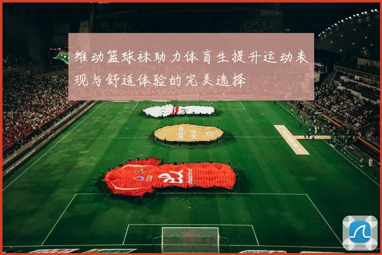 维动篮球袜助力体育生提升运动表现与舒适体验的完美选择