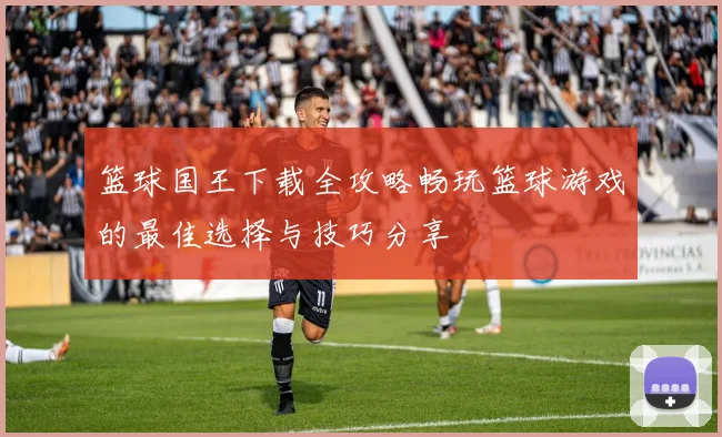 篮球国王下载全攻略畅玩篮球游戏的最佳选择与技巧分享