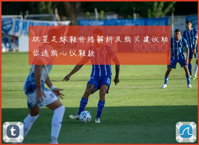 双星足球鞋价格解析及购买建议助你选购心仪鞋款